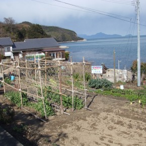 さぬき市津田町(津田北山) さぬき市津田町(津田北山)